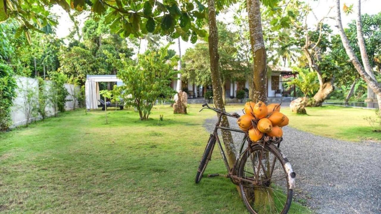 Antique Ceylon Villa Ahangama Kültér fotó